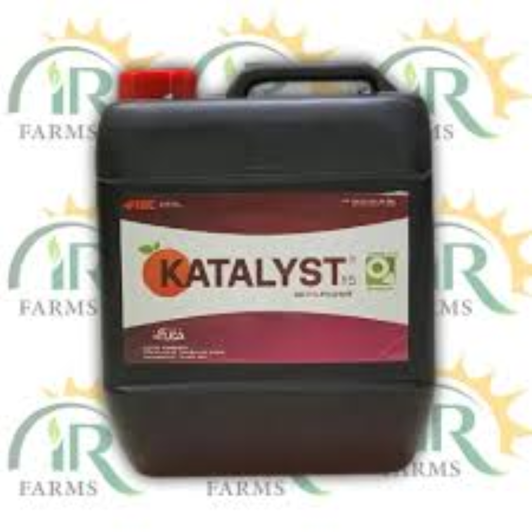 KAYSALT 2KG